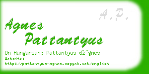 agnes pattantyus business card